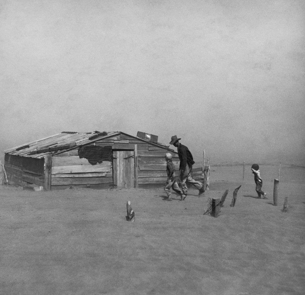 Dust Bowl, 1936. Photo: Arthur Rothstein (public domain)